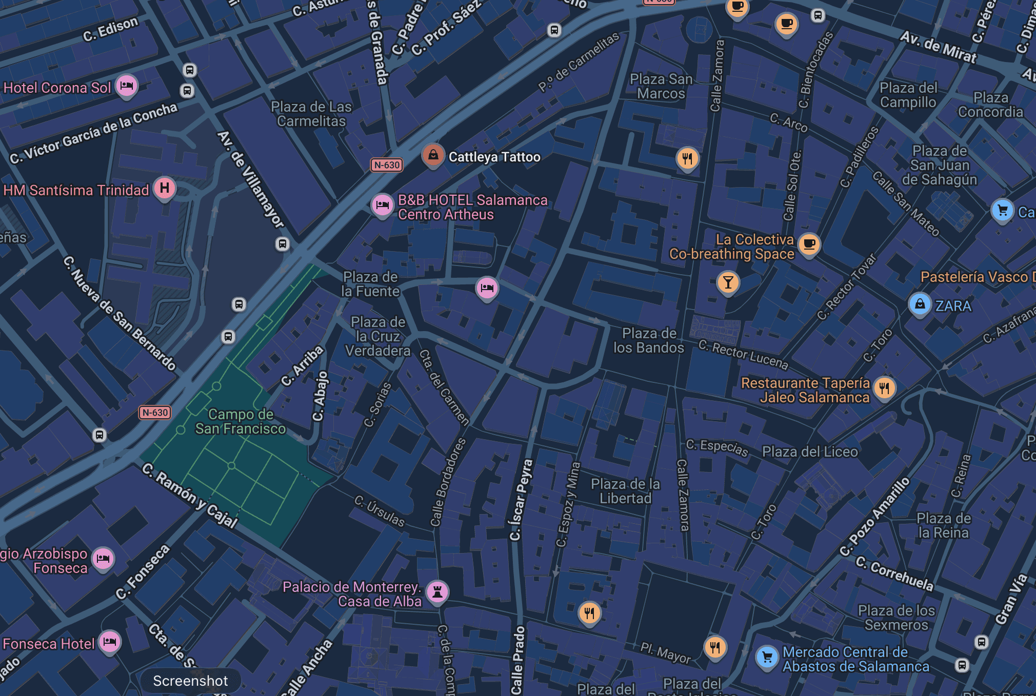 Map showing Cattleya Tattoo's location in Salamanca